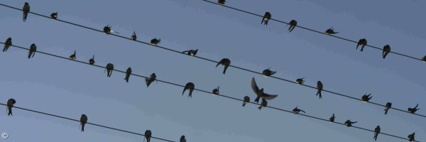 Aktuelles 